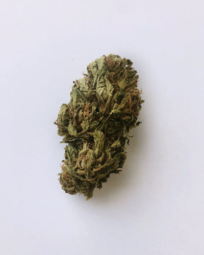 Fleurs de Chanvre – Bien-être Naturel & Relaxation