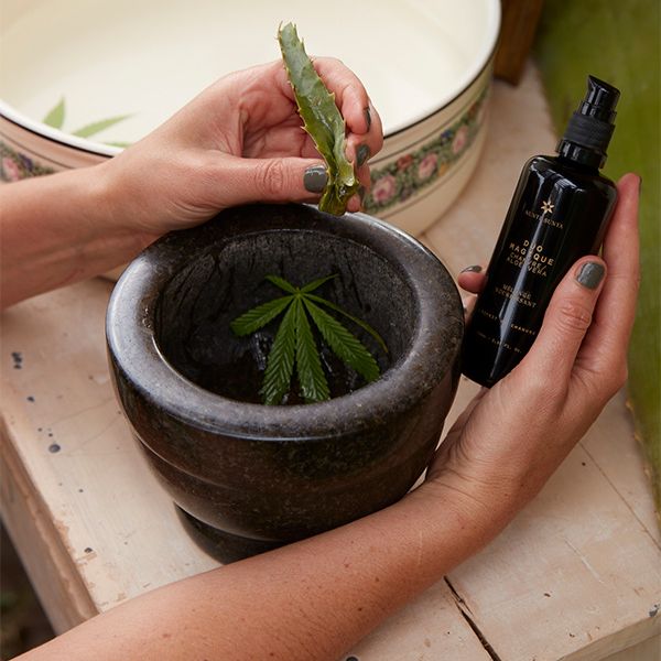 cosmétique chanvre cbd