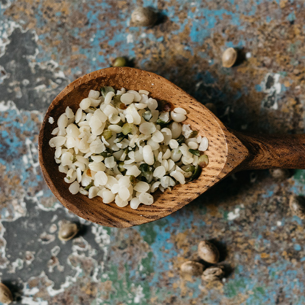 nunti sunya alimentation