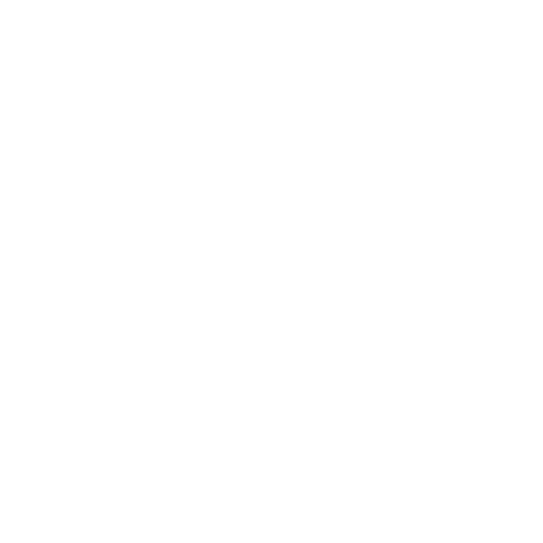 LOGO%20BLANC.png
