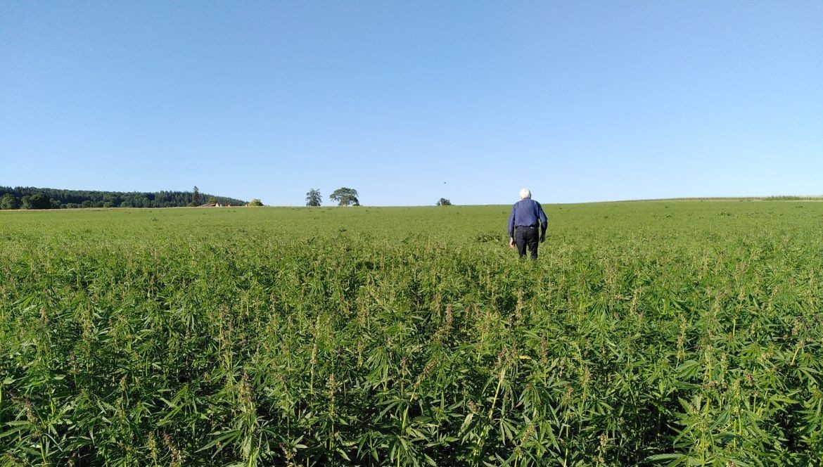 Guide sur l'Agriculture du Chanvre